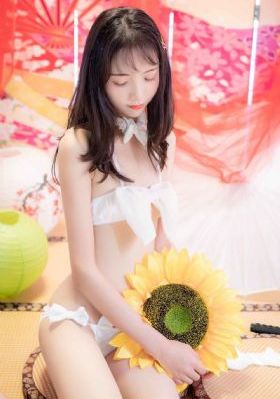 火影忍者免费全集